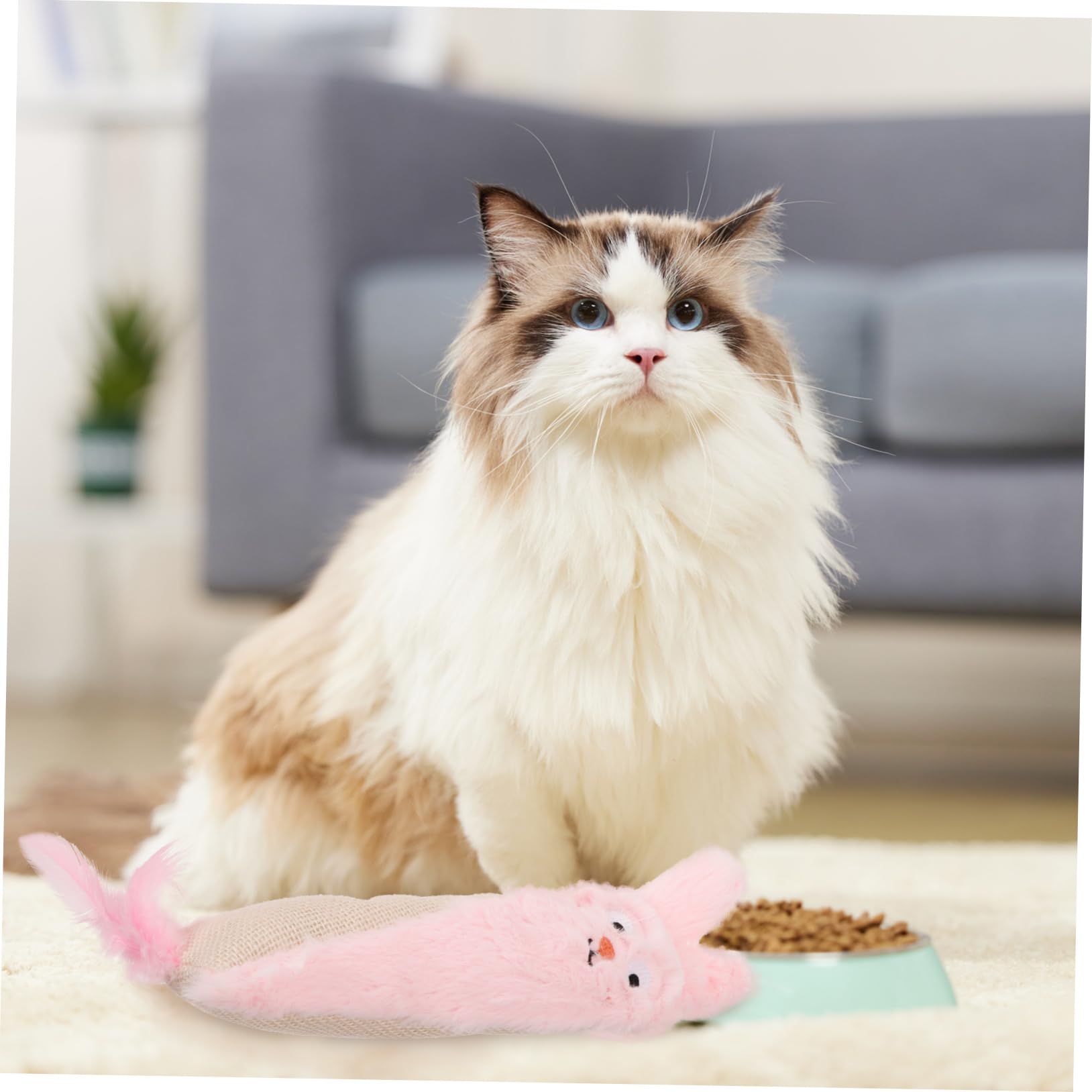 Yardwe Jouet Peluche pour Chat Herbe à Chat Accessoire De Interactif avec Papier Et Ennui