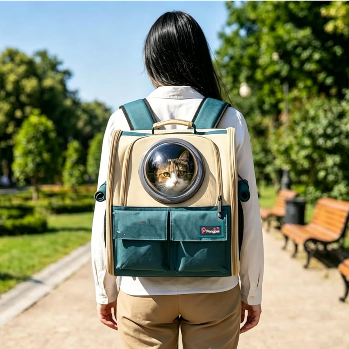 Trasportino Zaino Porta Cane Gatto 8kg, Borsa Trasporto Capsula Grande con 3 Ingresso 2 Cupole (acrilico e nido d'ape) Apertura dall'alto, Portatile Ventilato Pieghevole per Viaggio e dal Veterinario