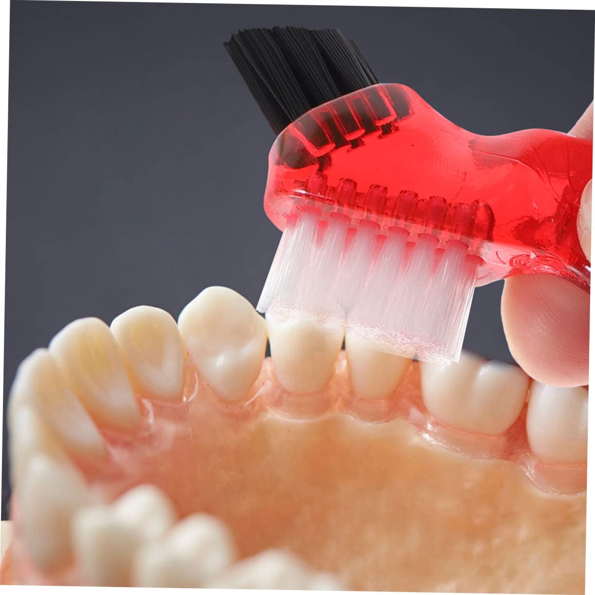 COLLBATH 15pezzi Spazzole Multifunzionali Per Dentiera Facili Usare Ergonomiche Colori Per Personale e Orale