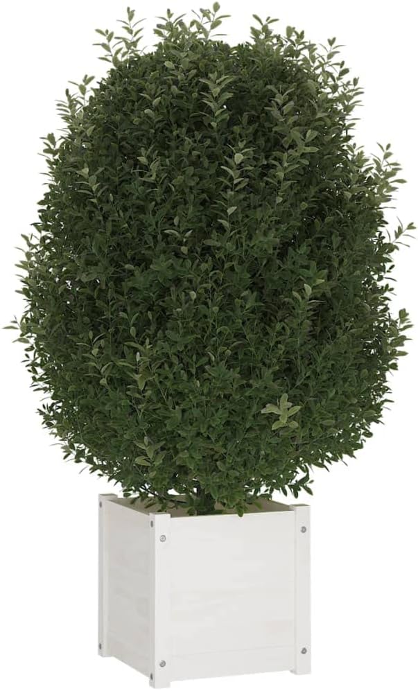 Set of 2 White Square Solid Pine Wood Planter Boxes 15.7 x 15.7 x 15.7 in with Drainage Holes, Durable Raised Garden Beds for Outdoor Patio Balcony Conservatory and Indoor Use