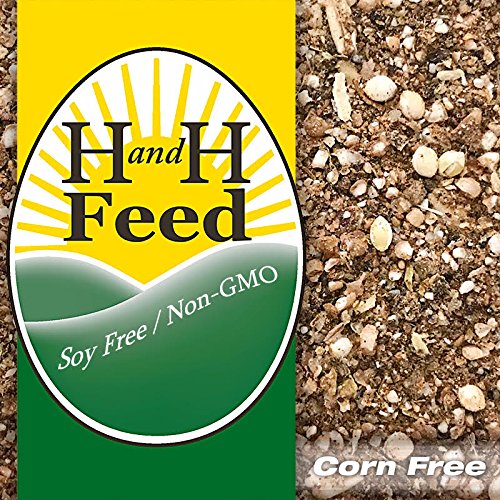 All Natural Chick Starter Freshly Milled: Old Fashioned Mash - Non-GMO, Non-Medicated, Soy Free, Corn Free, with Organic Fertrell Vitamins and Minerals (20lb)