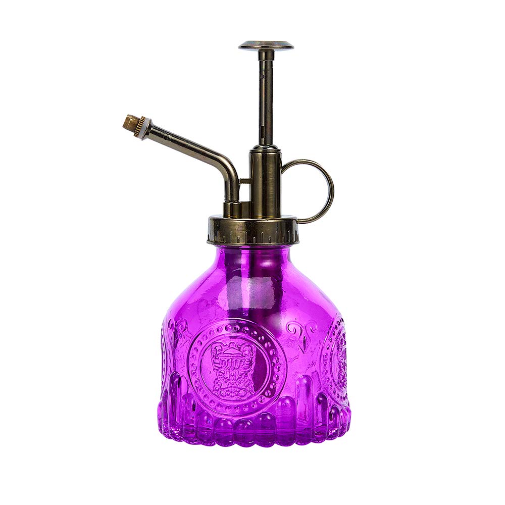 Ebristar Glass Plant Mister Spray Bottle, 6.5" Tall Vintage Plant Spritzer Watering Can, Succulent Watering Bottle with Top Pump, Small Plant Sprayer Mister for Indoor Outdoor Houseplant - Purple