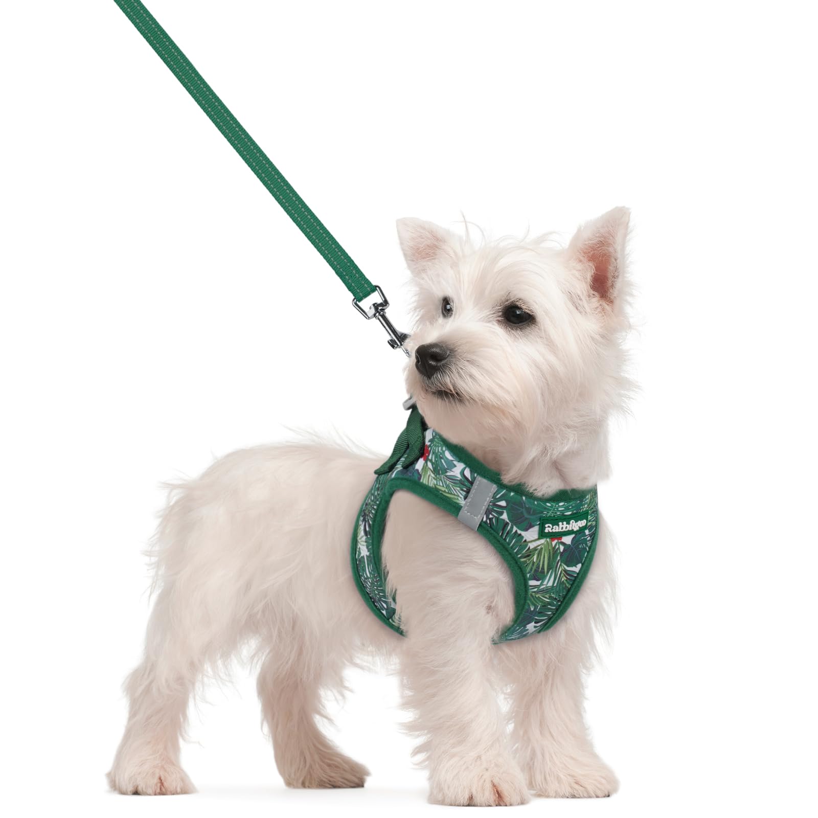 rabbitgoo Dog Harness Small Sized and Leash Set, Step-in Puppy Pet Vest