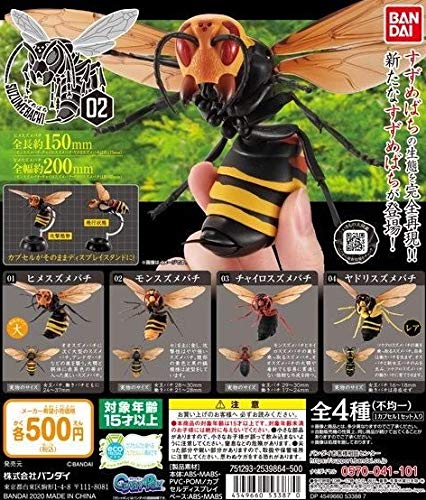 Amazon.co.jp: Suzumbachi 02, Complete Set of 4 Types (including