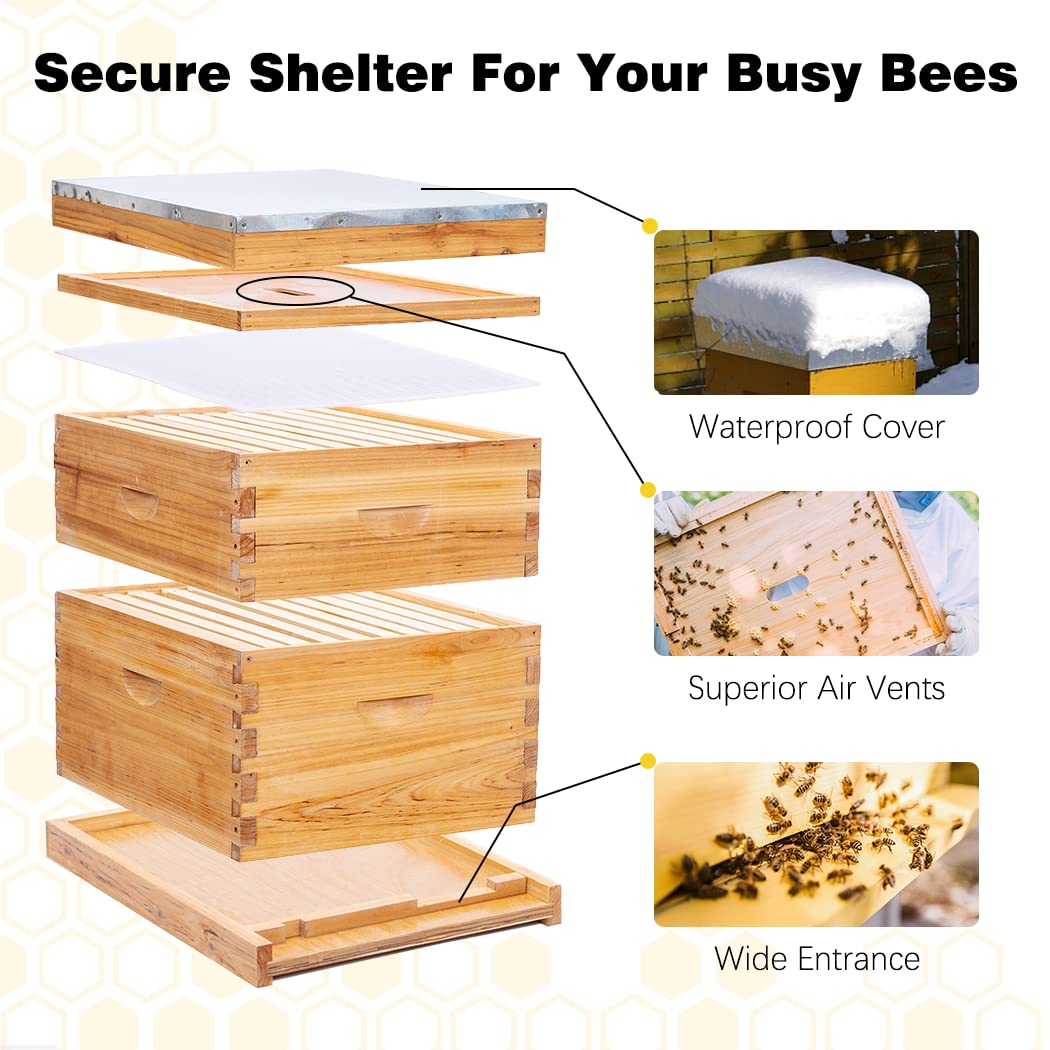 Buy 8 Frame Bee Hive Complete Beehive Kit,Honey Bee Hives Includes 1