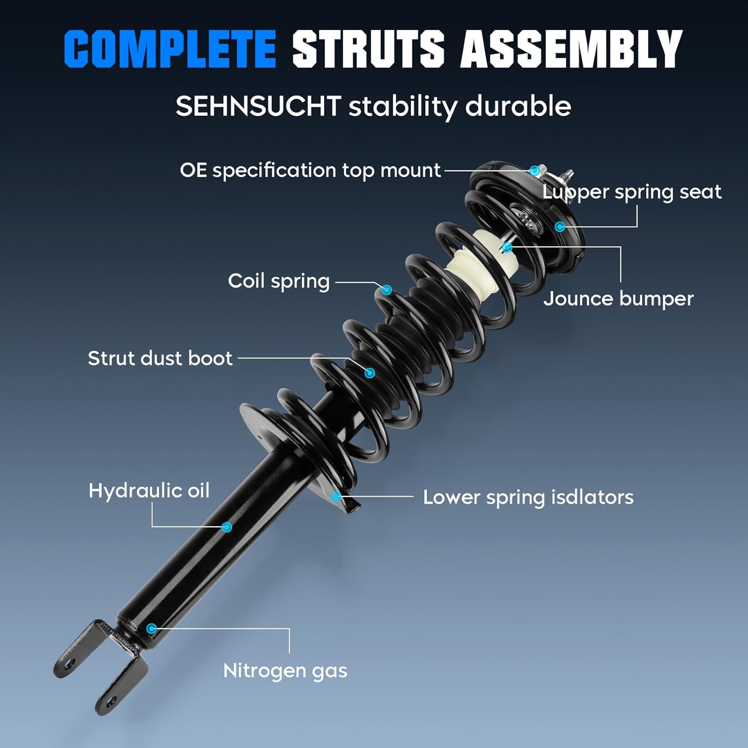 Rear Spring Strut Shock Absorber for Honda Accord 2.4L 3.5L 2008 2009 2010 2011 2012, Complete Coil Struts Shocks Assembly Absorbers Replace for 172563 15180
