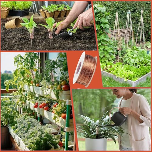 Zyiphor Reiner Kupferdraht 1mm x 20m T2 Blanker Kupferdrähte Basteldraht Schmuckdraht Kupferspulen Copper Wire für Schweißen, Experiment, Schmuck, Garten, Pflanzen