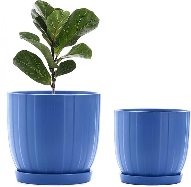 Amazon.co.uk Blue Ceramic Planters Amazon.co.uk Blue Ceramic Planters