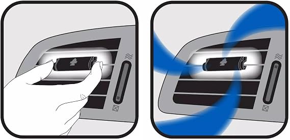 Little Trees CTK-52733-24: New Car Scent