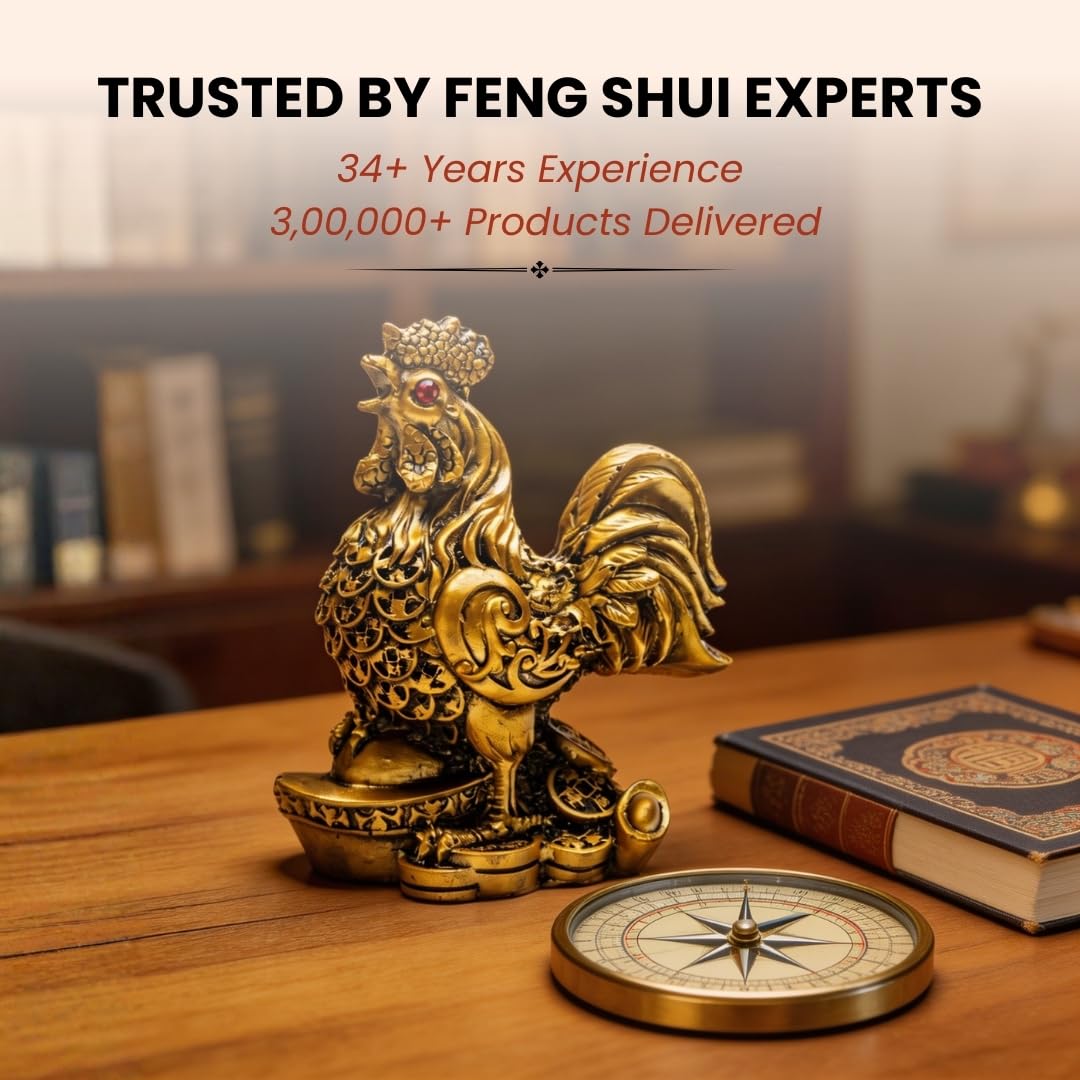 Rooster Statue Feng Shui - Good Luck & Protection -6 Rooster Statue Feng Shui - Good Luck & Protection -6