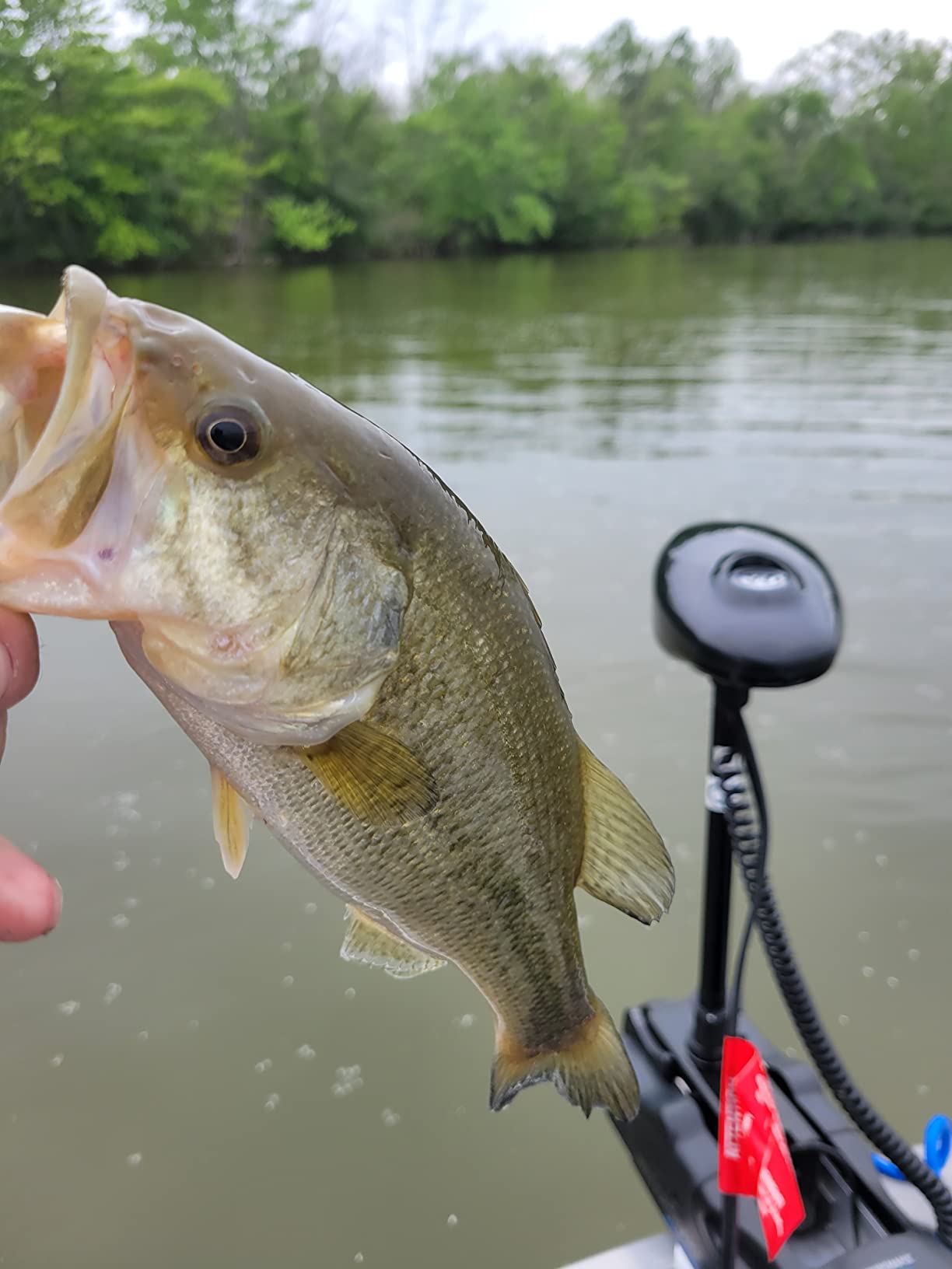 38/mo Finance Watersnake Shadow Bow Mount Foot Control Motor