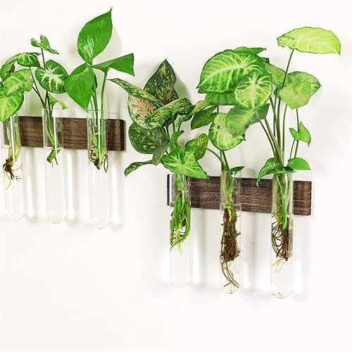 Miniatura 4 de Tubos de propagación de plantas 2 piezas para colgar en la pared con soporte de madera tubo de ensayo de propagación retro para plantas hidropónicas