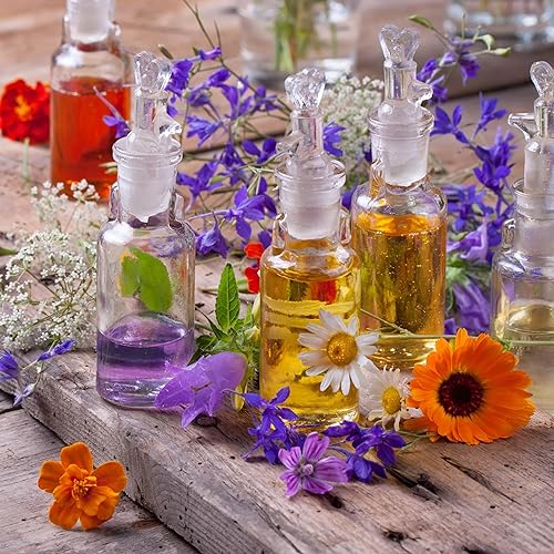 Die Heilpflanzen der Indigenen V&ouml;lker, Teil 1