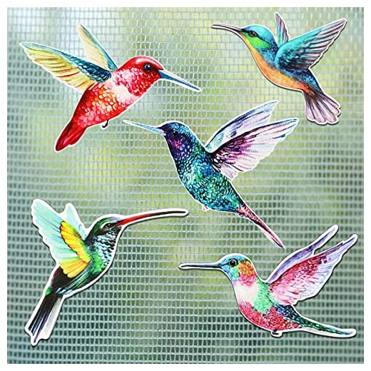 10 Pieces Watercolor Humming Bird Screen Door Magnets Decorative Flexible Double Sided Magnetic Stickers for Screen Door Patio Doors Decoration, Helps to Stop Walking into Screens (Fresh Style)
