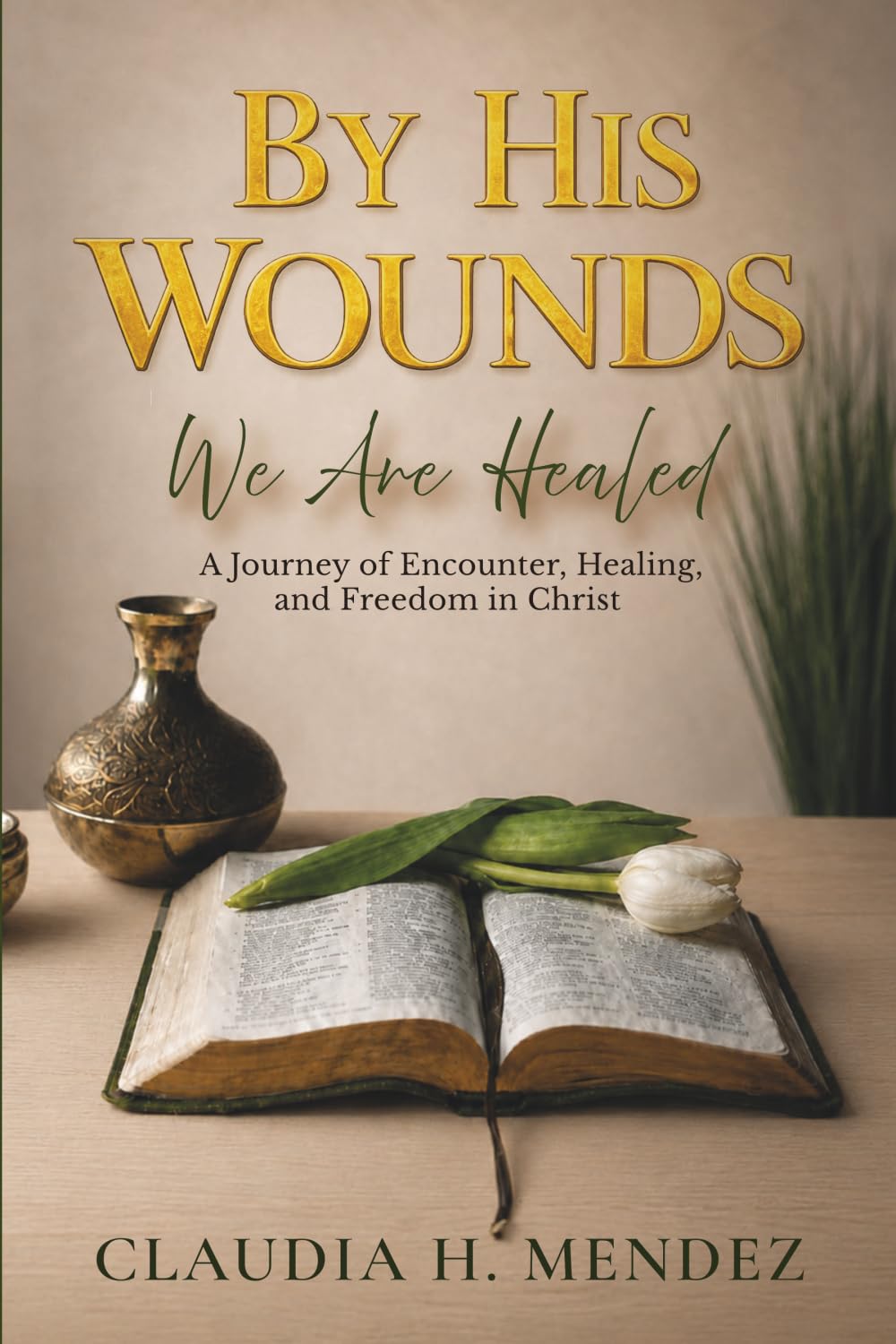 By His Wounds We Are Healed: A Journey of Encounter, Healing, and Freedom in Christ
