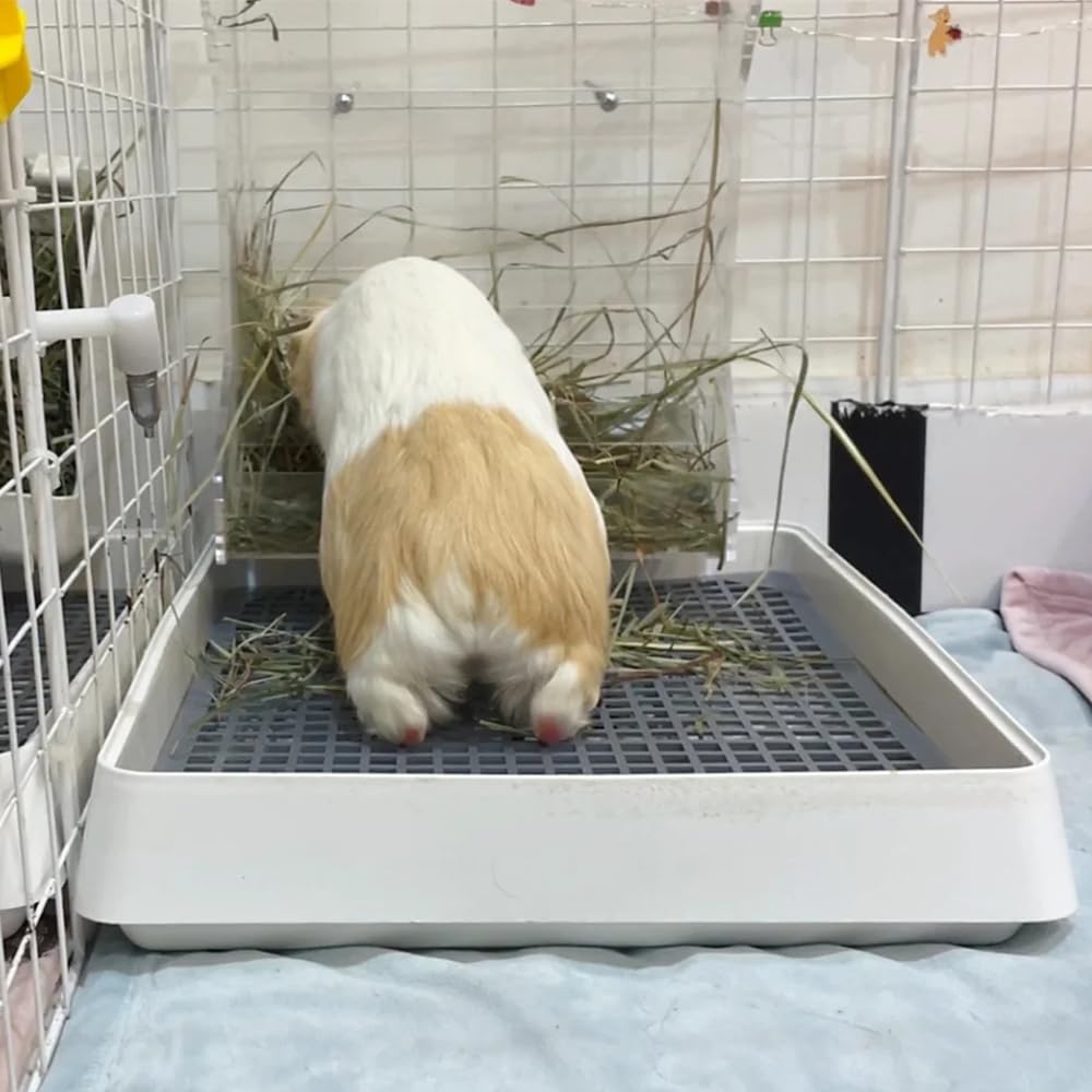 PODOO Rabbit Litter Box – Training Potty Tray for Guinea Pig & Small Pets · Spacious Grid Pan with Low Entrance, Easy-Clean & Odor-Resistant—Helps Keep a Clean Cage and Reduce Mess - image 3