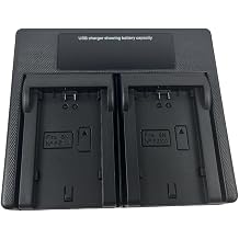 USB LED Dual Camera Battary Charger for NP-FZ100, Compatible with ZV-E1, FX3, FX30, A1, A9 II, A7R V, A7S III, A7 IV, A6600, A7C