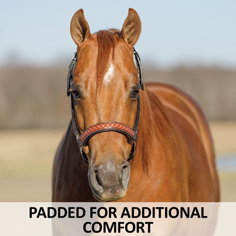 Schneiders Tooled Diamond Padded Leather Ranch Halter for Horses | Hand-Tooled Diamond Design | Argentine Leather | Semi-Custom Adjustable Fit | Padded for Comfort