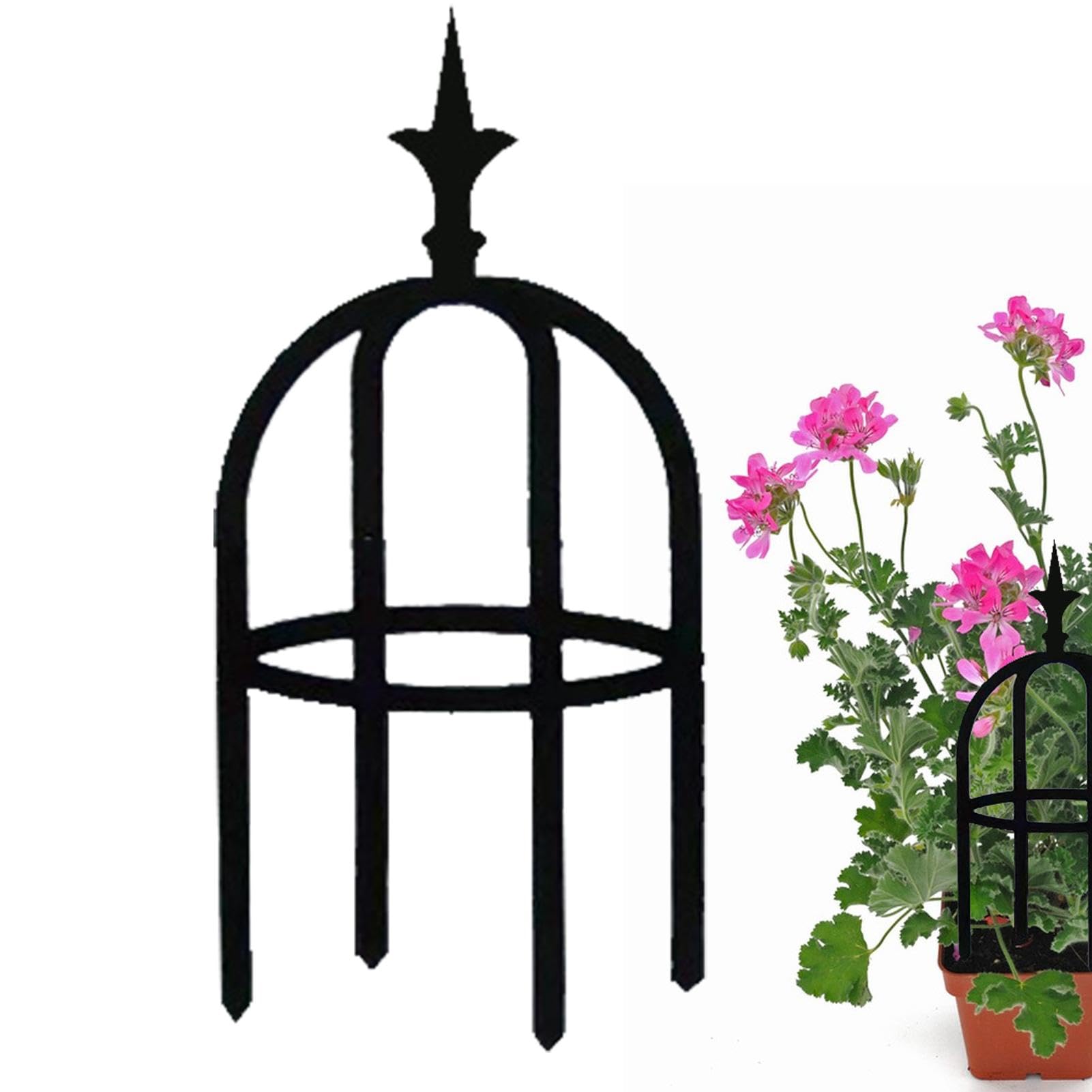 View 6