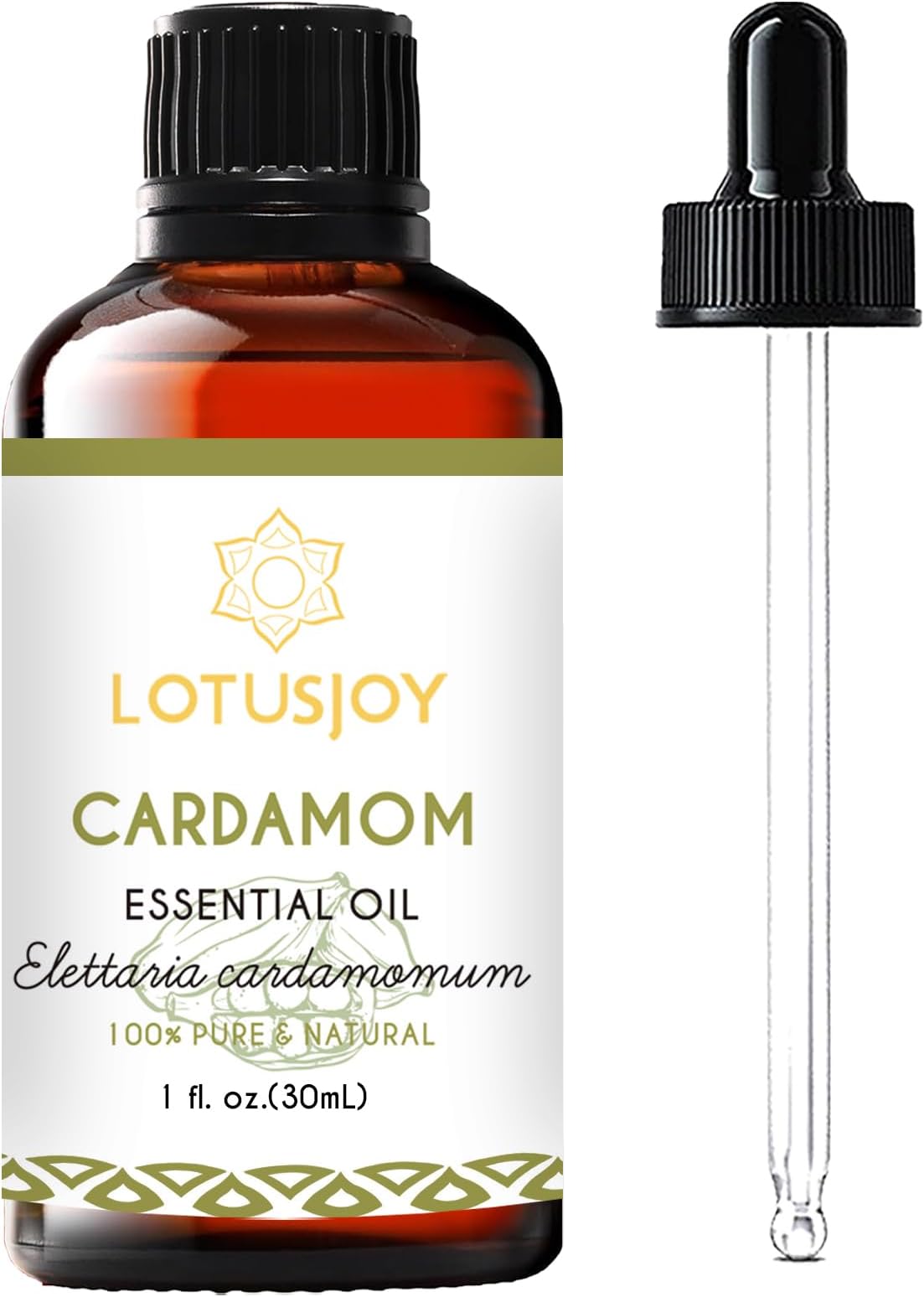 Cardamom Essential Oil - 1 Oz - Pure Natural Cardamom Oil for Diffuser, Skin, Laundry, DIY