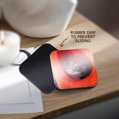 Miniatura 4 de 3dRose cst _ 107049 _ 2 azúcar planeador en color naranja para colgar bed-soft posavasos, juego de 8