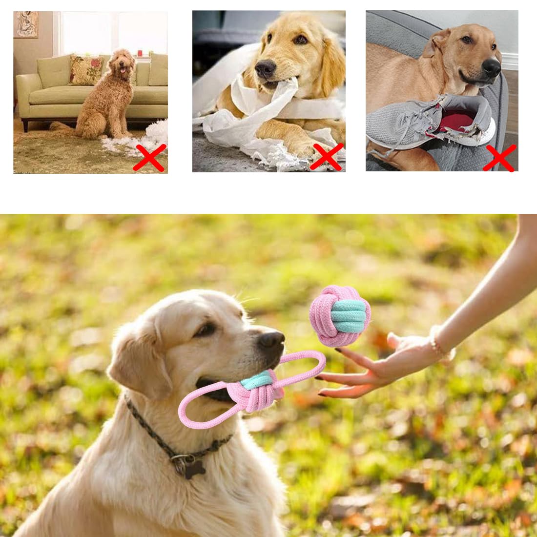 Giocattoli Interattivi Per Cani, In Corda Per Masticatori