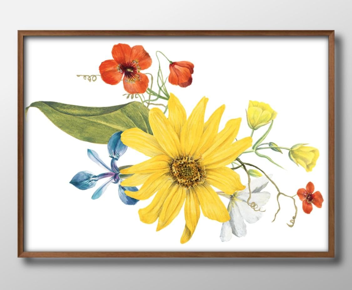 絵画　花 Amazon.co.jp: ビンテージイラスト フラワー 花 ボタニカル A3 サイズ