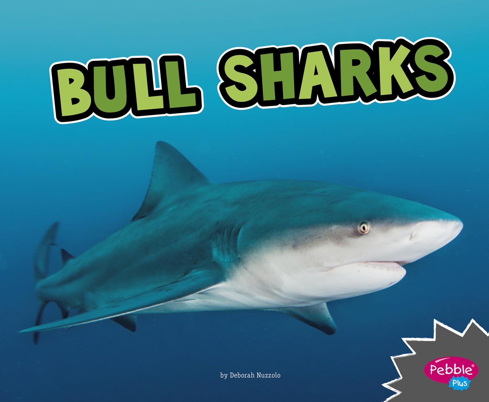Bull Sharks (All About Sharks)