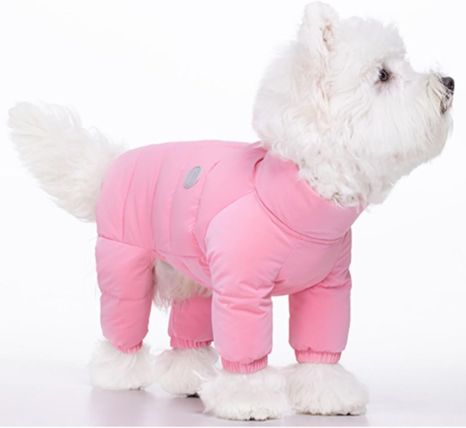 Dog Colorful Coat, Warm Winter Puffer Jacket Bodysuit, Windproof Waterproof Outdoor Clothes for Small Medium Breeds (L,Purple)