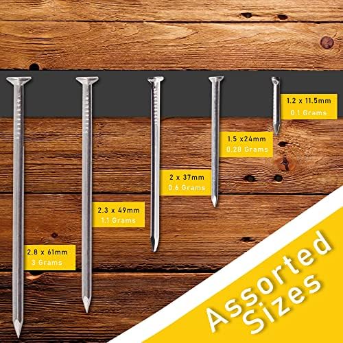250 Assorted Flat Head Nails Perfect for Wood and Hanging Pictures, Long, Medium and Small Wall Nails for DIY and Crafts, Home Décor, Woodwork, Furniture and Construction