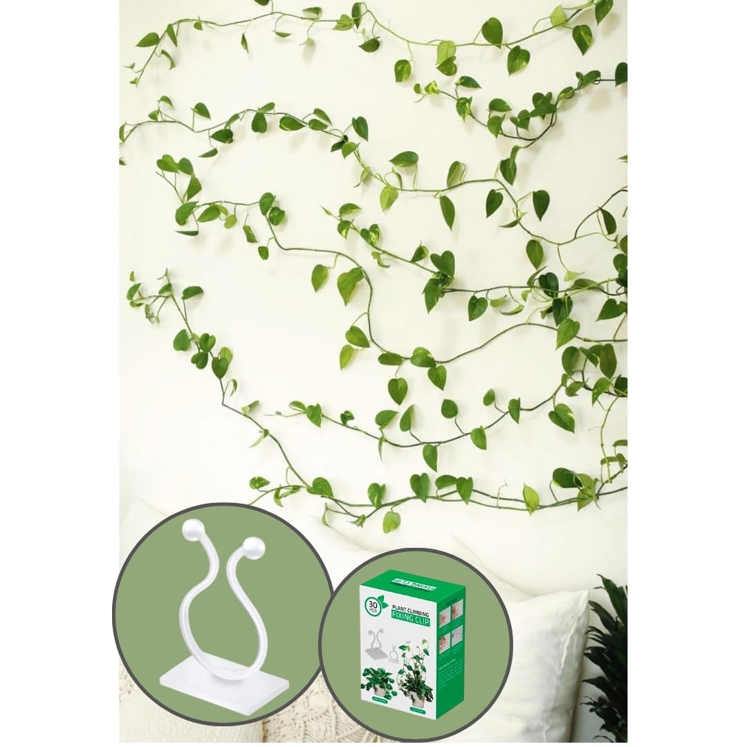 See full amazon price history chart for CREEPA Plant Support Clips for Any Type of Creepers. (Big Sized) Strong Adhesive Clips. Mainly for Creepers to Decorate on Walls. (White, 60) CREEPA Plant Support Clips for Any Type of Creepers. (Big Sized) Strong Adhesive Clips. Mainly for Creepers to Decorate on Walls. (White, 60) (B0CB1SJCQZ) Amazon Price History, Amazon Price Tracker