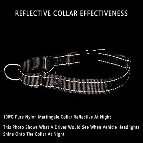 Miniatura 4 de Plutus Pet Collar Martingala reflectante con hebilla, collar de entrenamiento duradero y ajustable para perros pequeños, medianos y grandes, rosa, XS
