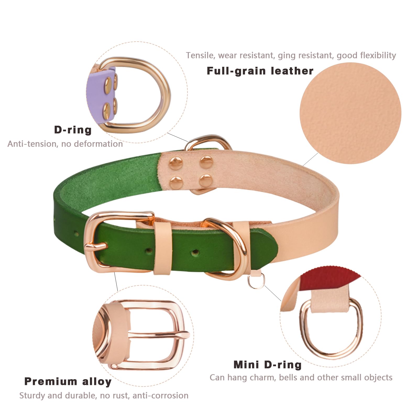 Las Mejores Ofertas En Suministros Para Perros Galgos | EBay