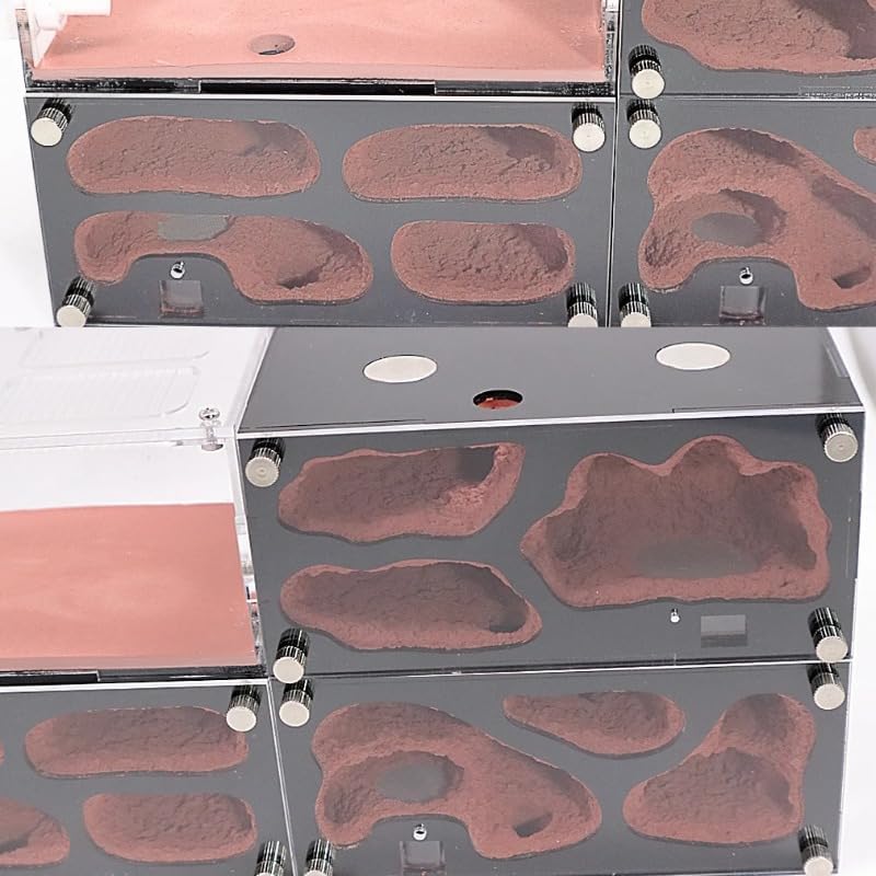Ant Farm Acrylic Ant Habitat Nest, Transparent Modular Ant Colony Formicarium: Concrete Nest Chamber System - Expandable Ant Habitat with Water Feeder | Ant Colony Observation System (2)