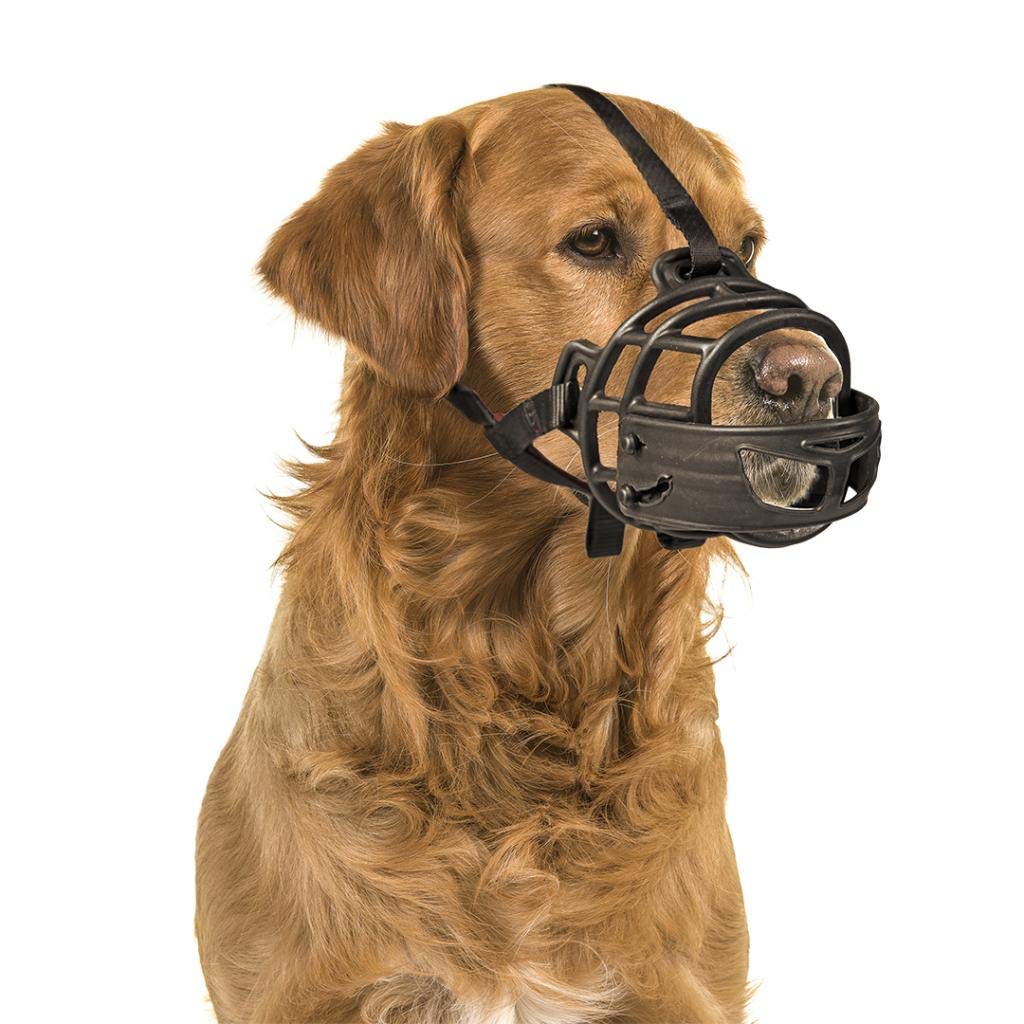 DOUVO BOZAL Gummi-Hundehalsband – Robustes & Bequemes Halsband Für Hunde