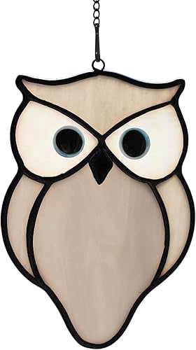 BOXCASA Atrapasueños de pájaros atrapasueños de búho atrapasueños de pájaro búho para ventanas para mes abuela nana amantes de los pájaros regalos