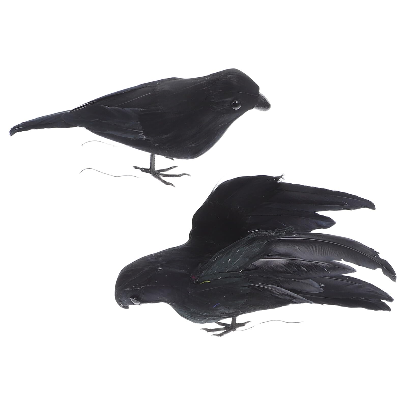 Corbeaux noirs réalistes accessoires créatifs pour scènes gothiques d'Halloween