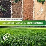 Greenyp Das Original B09X3SBBY7 lato 4