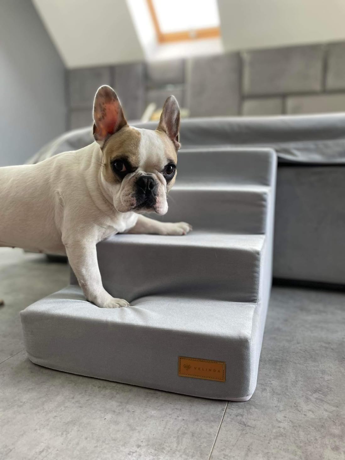 Hundetreppe mit 4 Stufen Katzentreppe Haustiertreppe Einstiegshilfe Schaumstoff (Farbe: rosa (Cord))