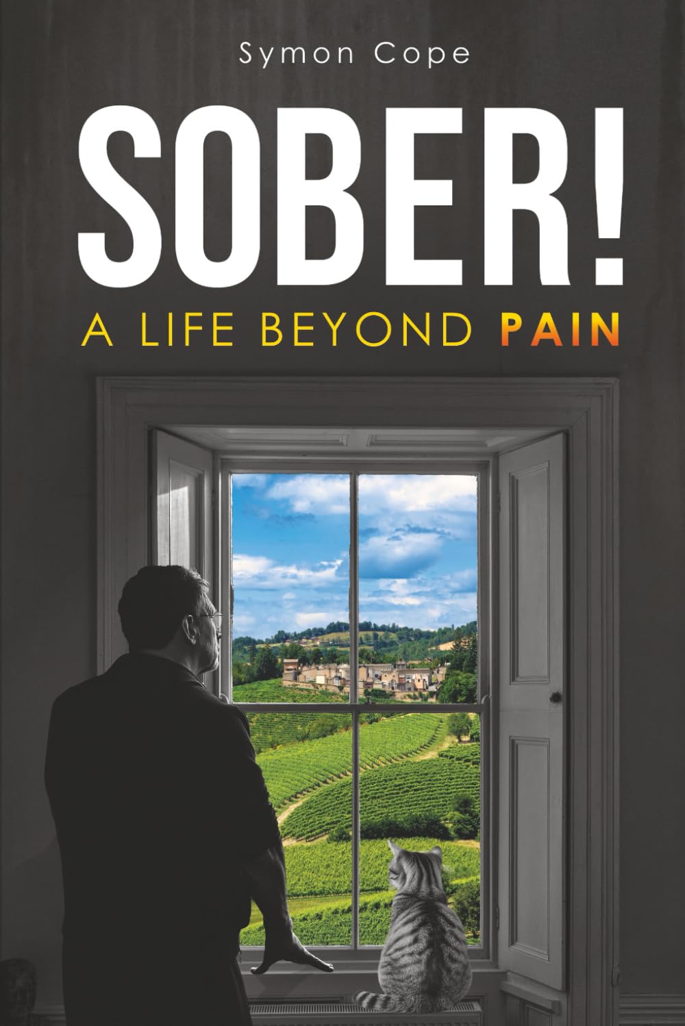 Sober!: A Life Beyond Pain (THE ADDICTIONARY – Recovering the Meaning of Life)