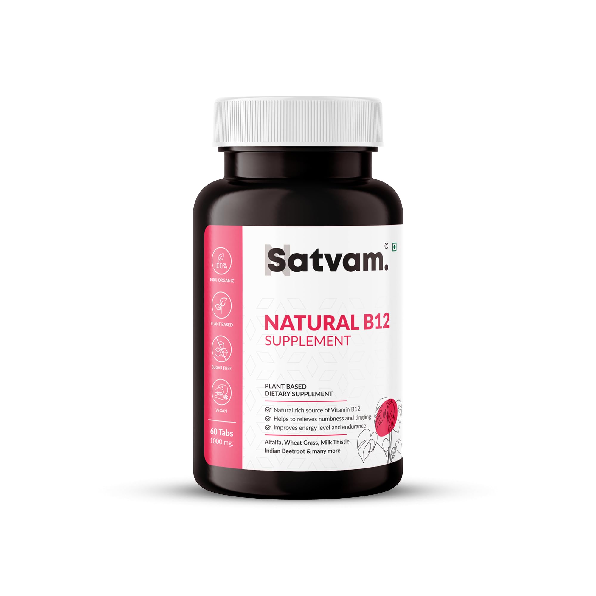 N Satvam Vitamin B12 Supplement- Rich in Wheat Grass and Alfalfa | Boosts Energy | Relieves Numbness and Tingling | Strengthen Muscles and bones | Suitable for Men and Women-(60 Veg Tablets)Pack of 1 (B0CV163F7S) Amazon Price History, Amazon Price Tracker