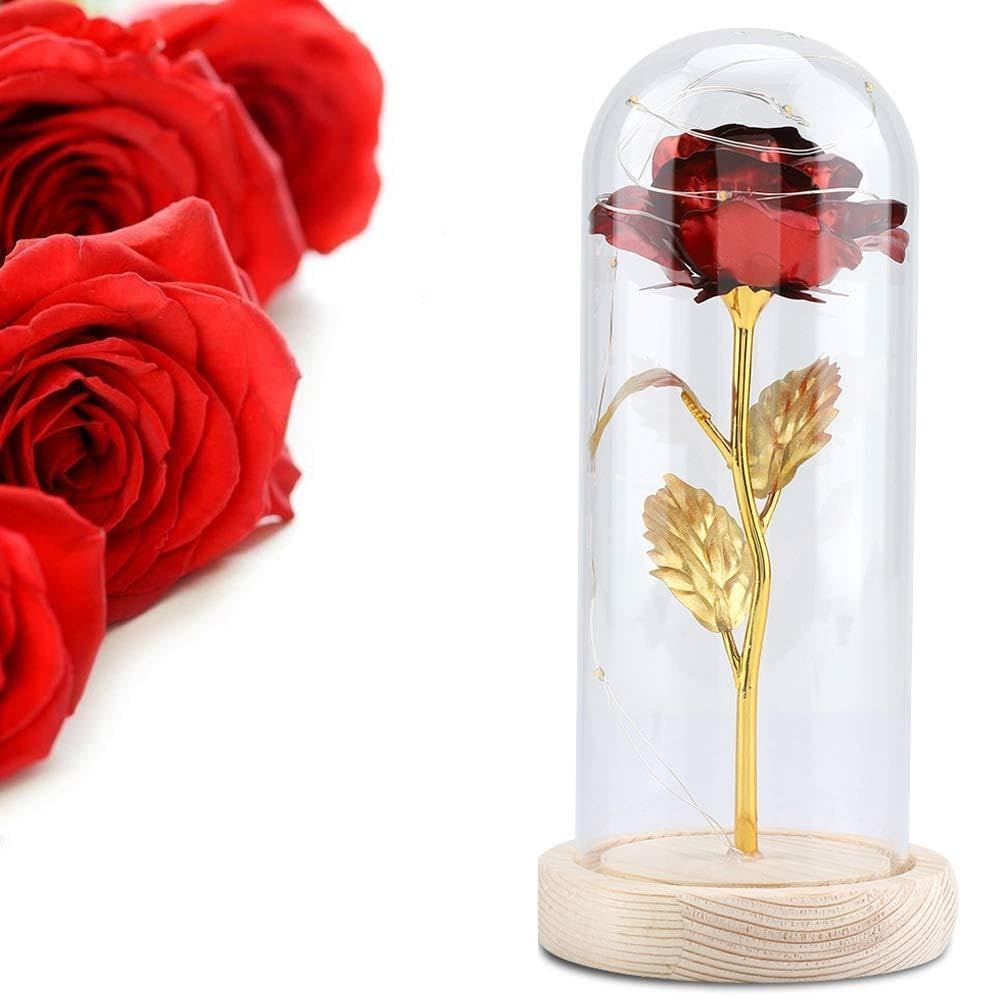 Rose éternelle rouge de haute qualité sous dôme en verre