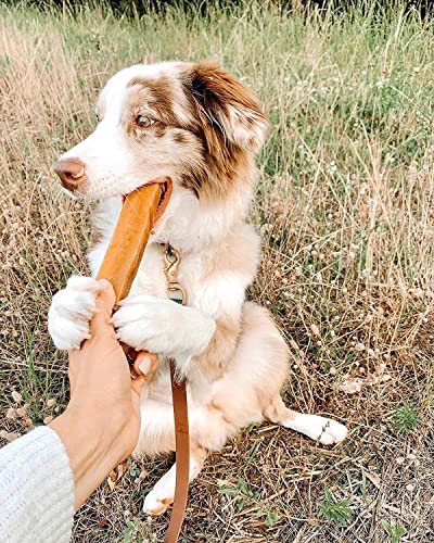 Ecokind Yak Cheese Dog Chews | 5 Lb. Bag | Healthy Dog Treats, Odorless Dog Chews, Rawhide Free, Long Lasting Dog Bones For Aggressive Chewers, Indoors & Outdoor Use, Made In The Himalayans #TOP5