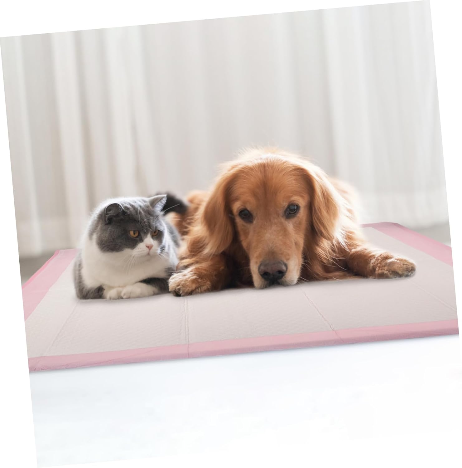 1bag Super Absorbent Dog Pee Pads Puppy Potty Pads for Dogs Compact Design