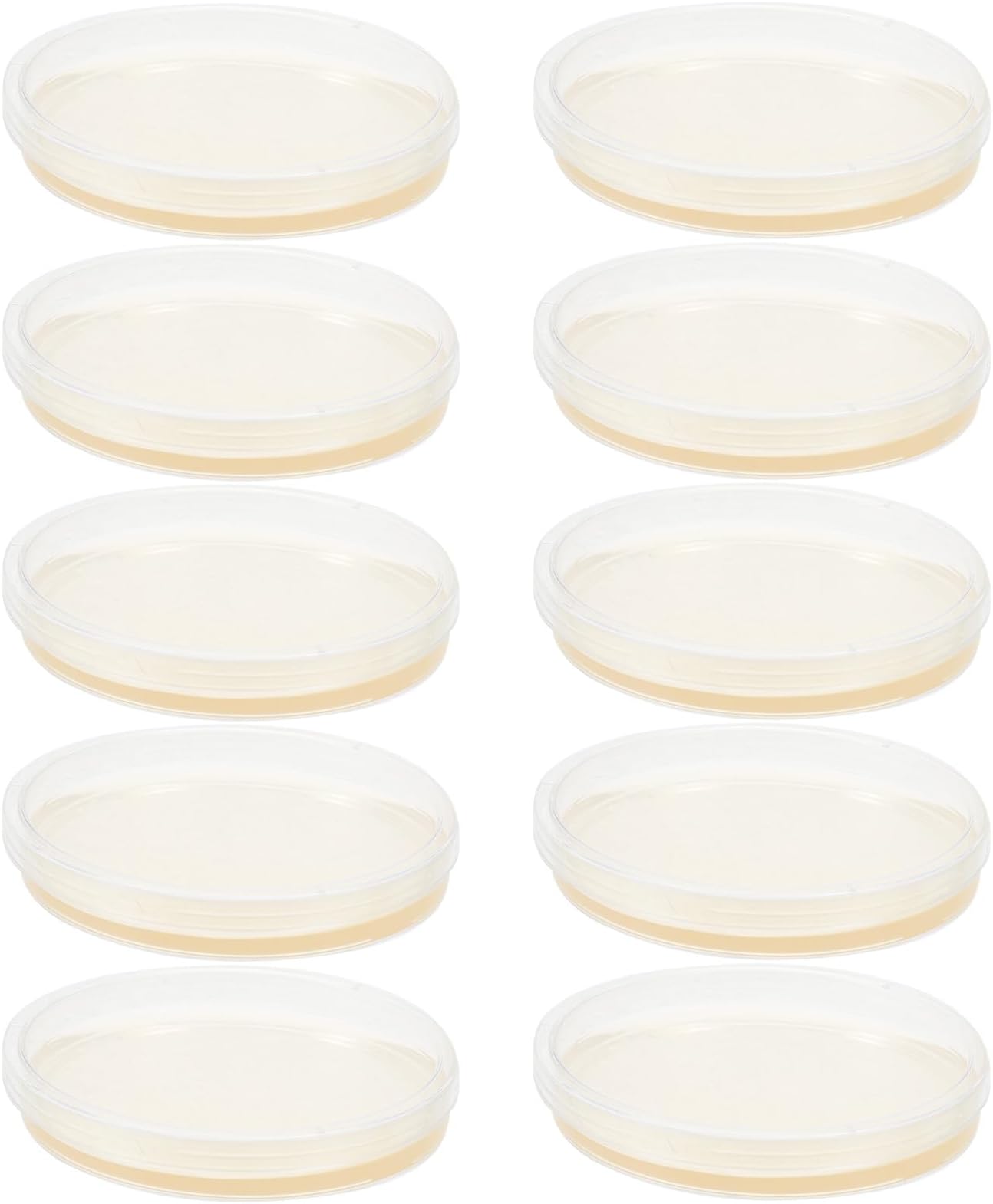 Agar Plates 9Cm Prepoured Petri Dishes with Thick Agar Layer for Stem Science Projects Pack of 10