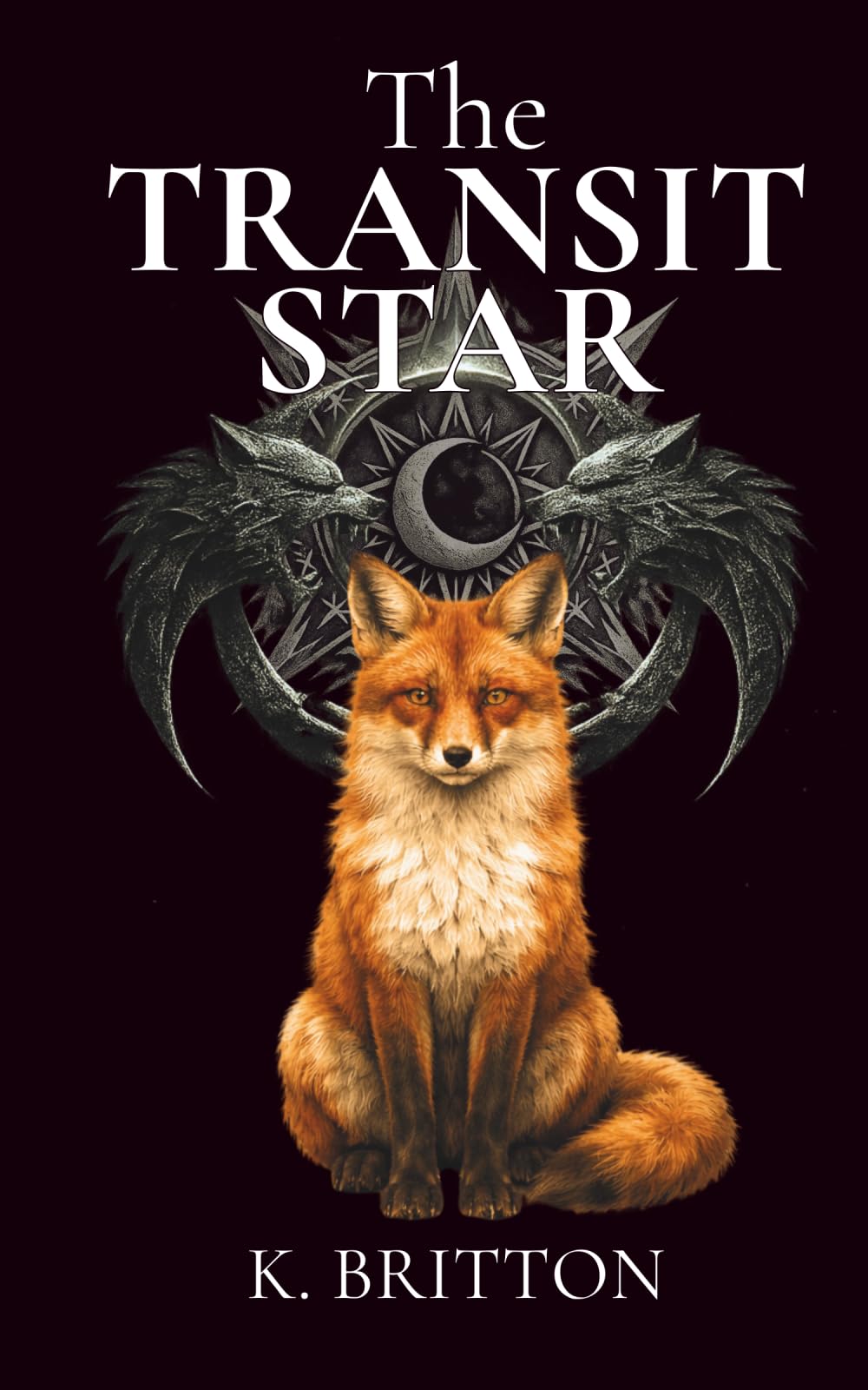 The Transit Star: Book 1 of the Transit Star Continuum