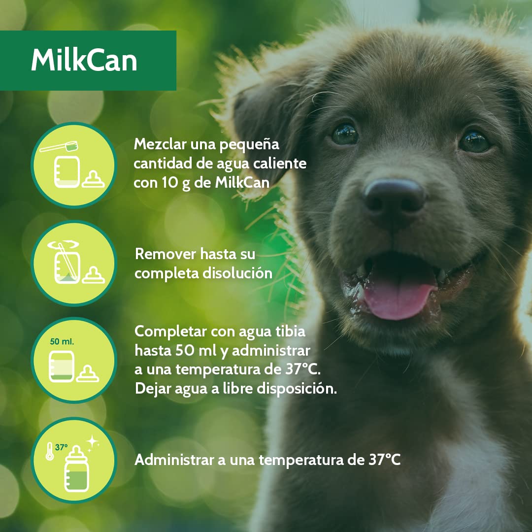 Stangest Mleko w proszku MilkCan | Mleko dla kotów i psów | Mleko w proszku | Suplement do karmienia piersią | Wysoka strawność i łatwa asymilacja | 2 kg