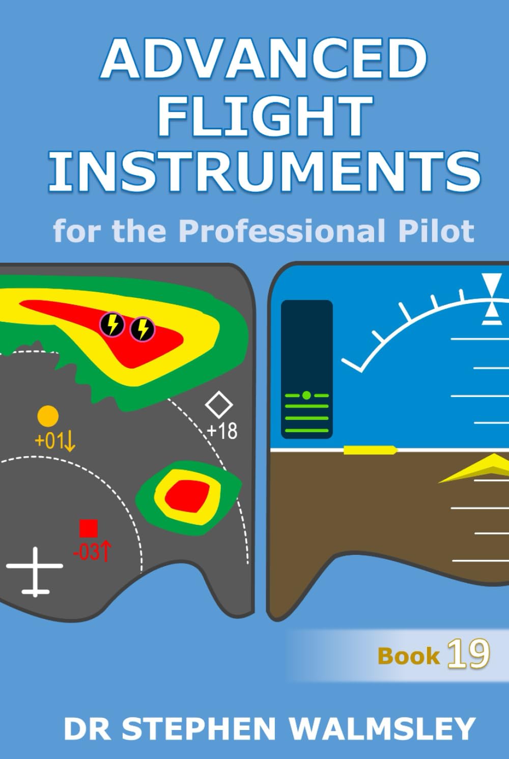Advanced Flight Instruments for the Professional Pilot (Aviation Books Professional Pilot Series)