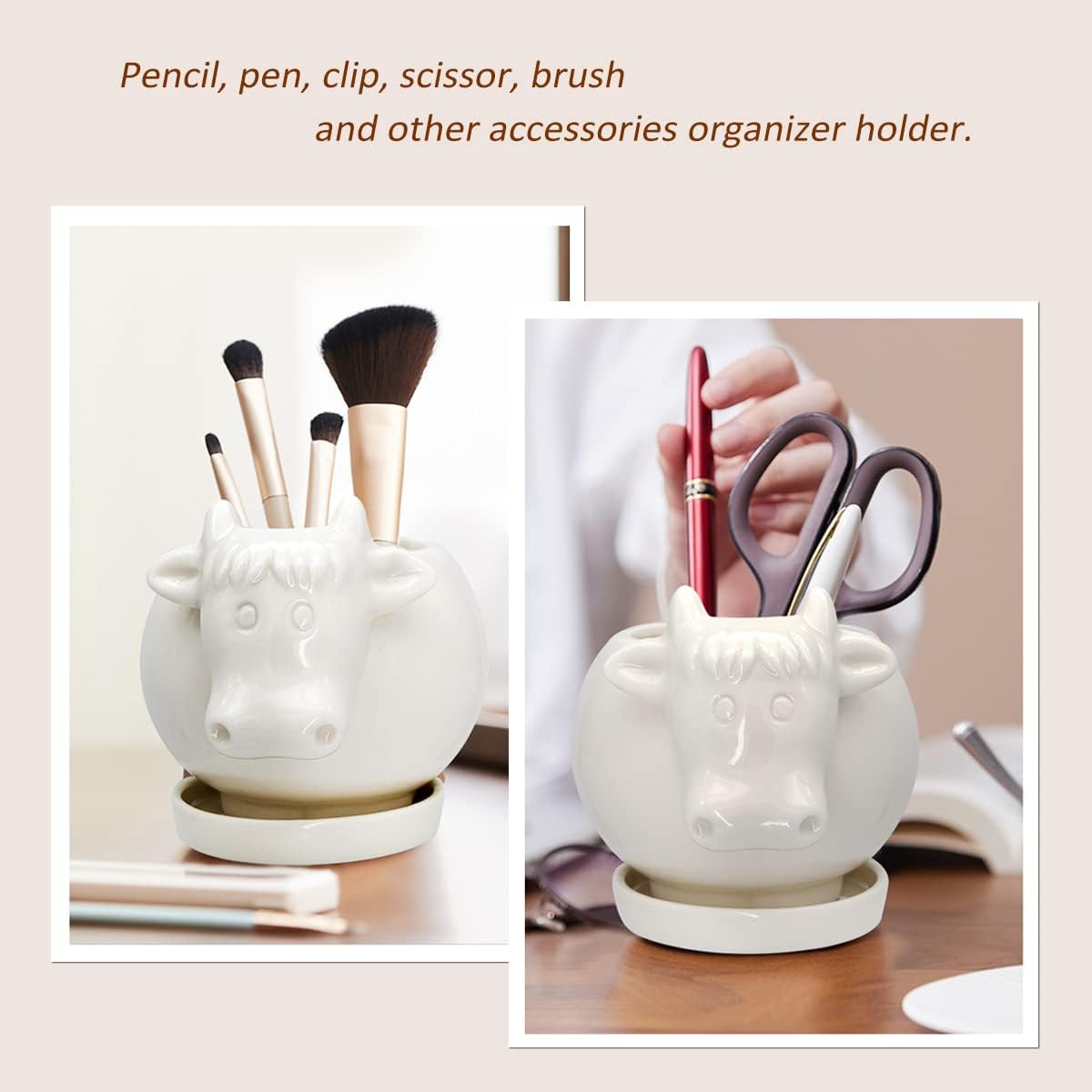 Fioriera a forma di gufo, vaso in ceramica per piante grasse