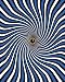 Whirlpool - Opticz Cloth Fabric Poster 24 x 29in
